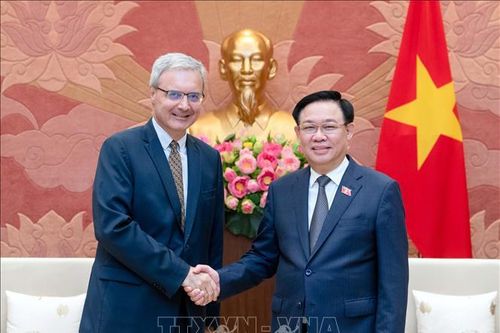 Chủ tịch Quốc hội Vương Đình Huệ tiếp Đại sứ Pháp Nicolas Warnery