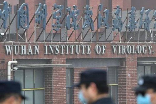 Phía sau việc Mỹ cắt giảm tài trợ cho Viện Virus học Vũ Hán