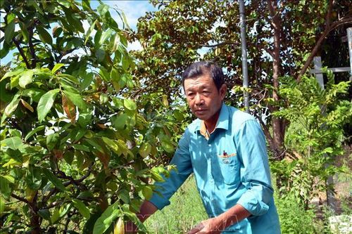 Sáng ngời tấm gương thương binh tàn nhưng không phế