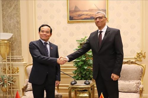 Cơ hội lớn thúc đẩy hợp tác kinh tế và thương mại Việt Nam - Ai Cập
