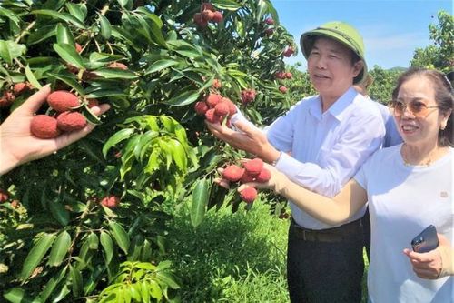 Ngành nông nghiệp Thanh Hóa bội thu trong 6 tháng đầu năm
