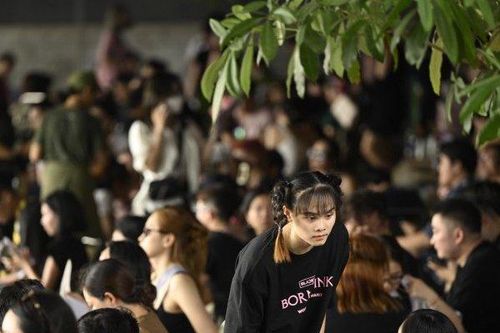 Đêm nhạc Blackpink: Quán cà phê chật kín chỗ, doanh thu tăng gấp nhiều lần