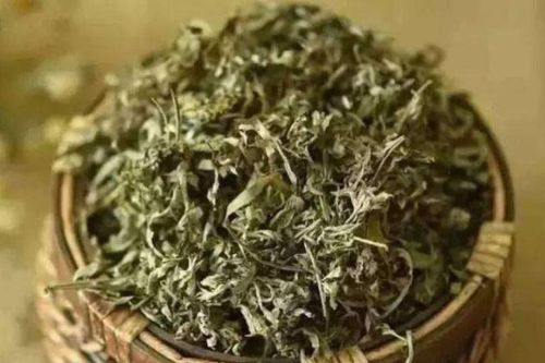 Vì sao lá ngải cứu phơi khô được ví như thần dược?