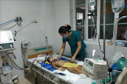 Đắk Lắk: Giám sát chặt chẽ tình hình dịch viêm não Nhật Bản