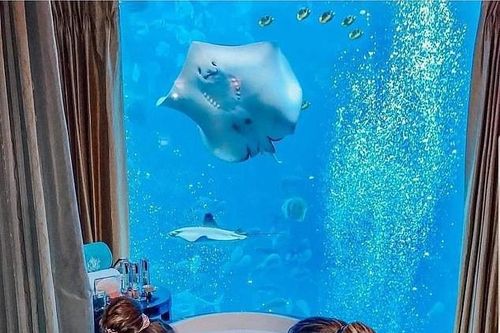 Chỉ có tại Dubai: Bỏ 290 triệu để 'ngủ giữa biển' 1 đêm, cảnh sát sở hữu cả biệt đội siêu xe, mô tô bay