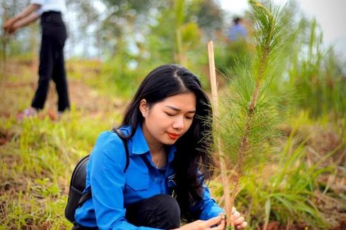 Thử thách sống xanh, xây dựng bản đồ số 'Vì một Việt Nam xanh'