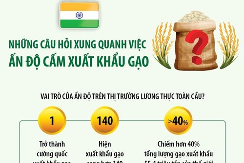 Những câu hỏi xung quanh việc Ấn Độ cấm xuất khẩu gạo