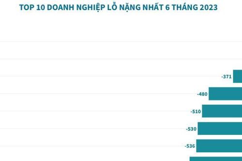Lộ diện 10 doanh nghiệp báo lỗ nặng nhất sàn chứng khoán sau 6 tháng