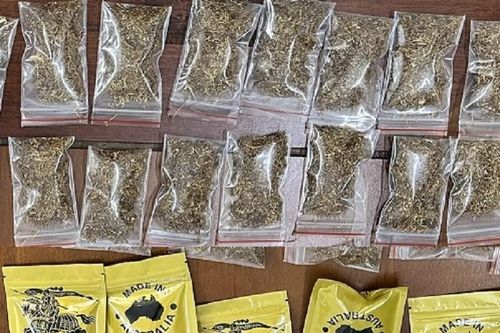 Tp.Đà Nẵng: Bắt đầu nậu phân phối cần sa 'made in Australia'