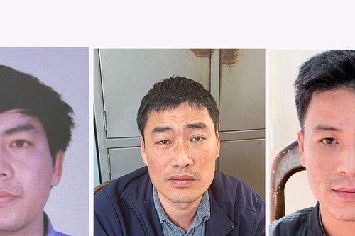 Lâm Đồng: Bắt giam 3 bị can liên quan sai phạm đất đai ở huyện Bảo Lâm