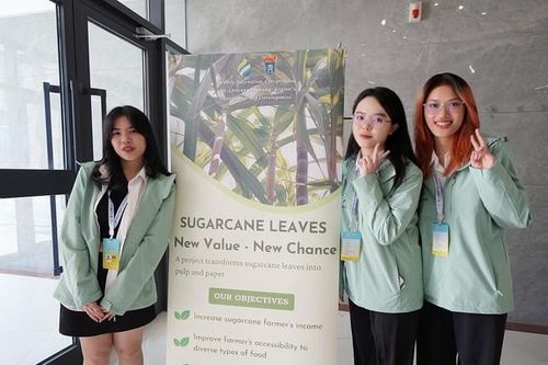 Ý tưởng từ lá mía giúp sinh viên Việt chiến thắng cuộc thi về sông Mekong