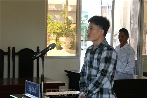 Lĩnh án 12 năm tù vì dùng dao chém anh ruột bị thương nặng