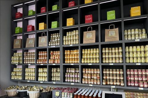 Nước xốt mù tạt - niềm tự hào của Dijon