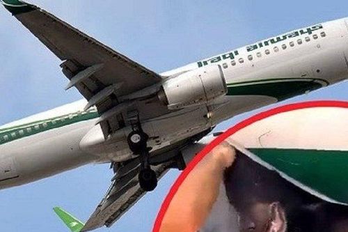Gấu xổng chuồng làm trì hoãn nhiều chuyến bay
