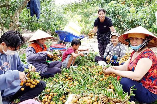 Làm giàu từ du lịch trải nghiệm