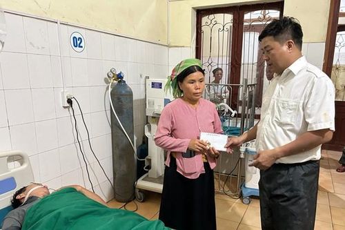 Hà Giang: Ăn nấm dại, 2 bố con nhập viện cấp cứu