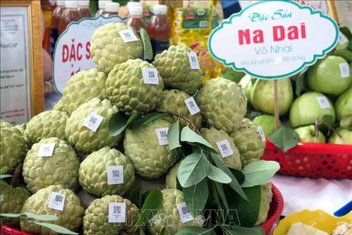 Khai mạc Lễ hội 'Võ Nhai mùa na chín'