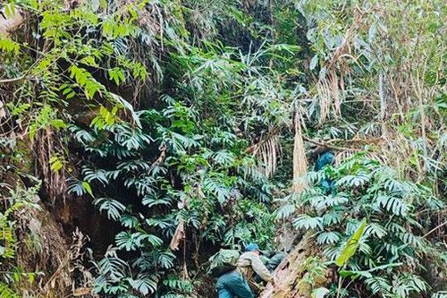 Phát triển du lịch sinh thái, khám phá rừng đặc dụng