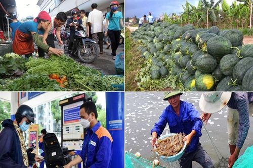 Tiêu dùng trong tuần (7-13/8/2023): Giá rau xanh tăng cao, dưa hấu giảm còn 2.000 đồng/kg