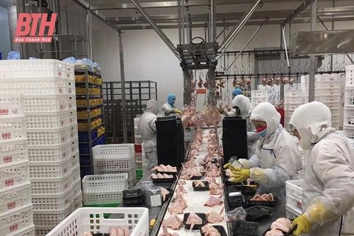 Chú trọng quản lý cơ sở giết mổ gia súc, gia cầm nhỏ lẻ