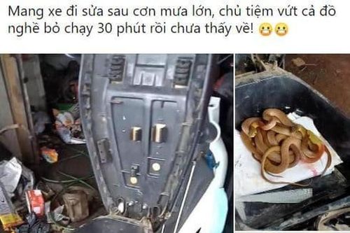 Mở cốp của khách, anh thợ sửa xe hết hồn khi gặp 'bé na'