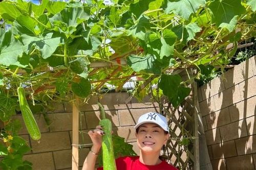 Mỏi mắt ngắm khu vườn xanh mướt trong dinh cơ của Thanh Thảo ở Mỹ