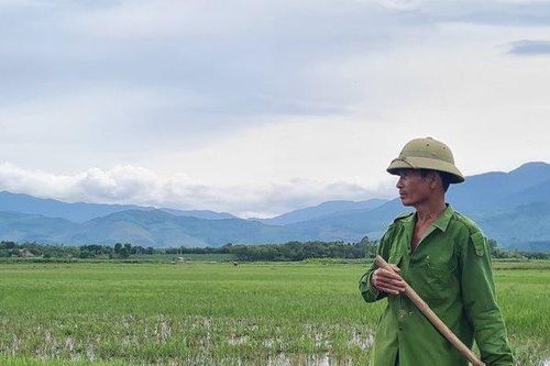 Quảng Bình: Lý do nông dân chọn thợ hồ, bỏ hoang hơn 6000 ha đất lúa