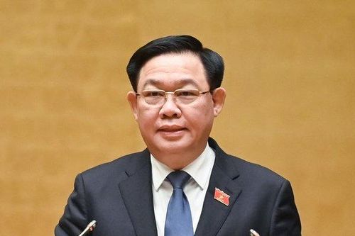 Kịp thời xử lý sai phạm, tiêu cực trong hoạt động đấu giá tài sản