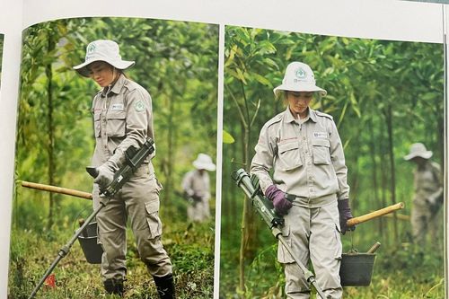 Những ký ức không thể nhạt phai