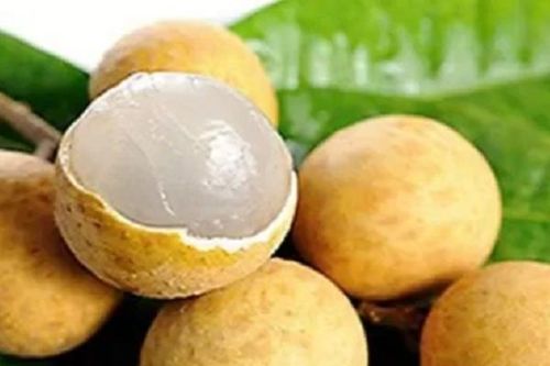 Đang mùa nhãn, thèm đến mấy cũng phải biết lưu ý này để bảo vệ sức khỏe 'vàng'