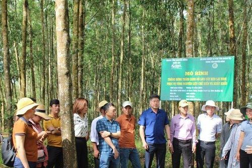 5 yếu tố giúp phát triển mô hình cộng đồng hiệu quả