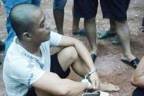 Bắt giữ nghi phạm đốt rừng ở Huế
