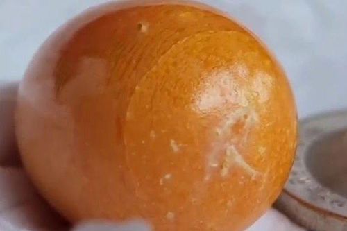 Clip: Người phụ nữ bất ngờ phát hiện 'viên đá lạ' trong con ốc biển