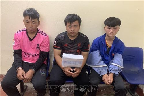 Bắt giữ các đối tượng vận chuyển trái phép chất ma túy