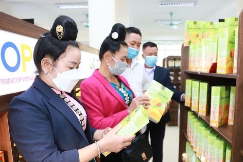 Kinh tế hợp tác xóa nghèo cho đồng bào dân tộc thiểu số