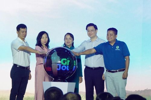 TP Hồ Chí Minh: Sẽ trồng 30.000 cây rừng tại huyện Cần Giờ