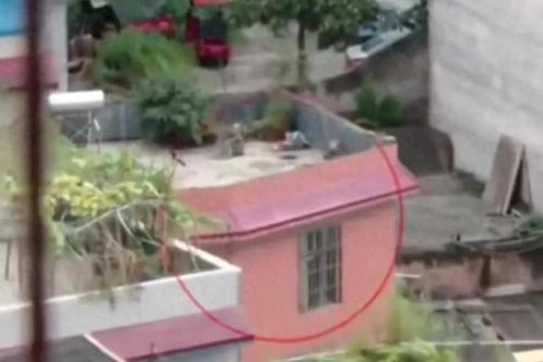 Con gái bị bắt cóc lúc 3 tuổi, 17 năm sau gia đình bàng hoàng phát hiện con đang sống ở bên kia đường