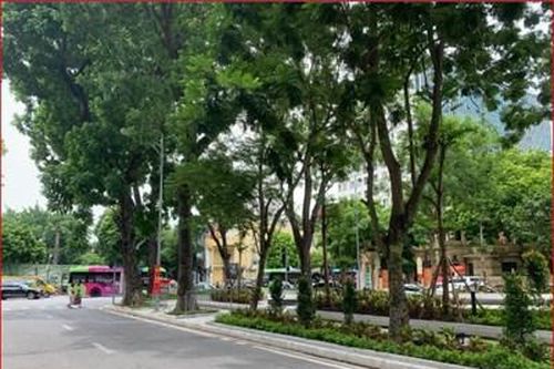 Không gian xanh, sạch mới tại phường Điện Biên