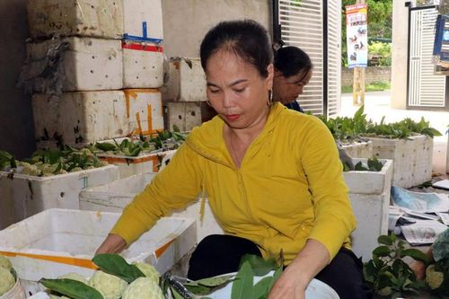 Hữu Lũng: Phát triển mô hình kinh tế hiệu quả từ nguồn vốn xây dựng nông thôn mới