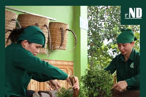 Vùng đất 'Đệ nhất danh trà'