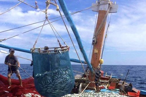 Quảng Bình: 6 tháng đi biển, ngư dân một xã thu về hàng trăm tỷ đồng