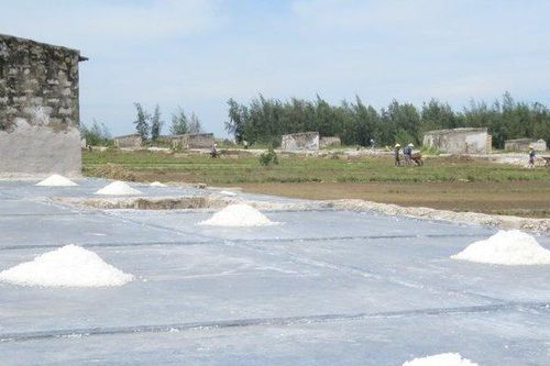 Diêm dân xứ Nghệ vật vã mưu sinh giữa trời nắng