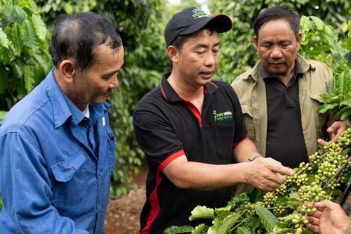 Đổi mới sáng tạo và phát triển bền vững đem lại lợi thế cạnh tranh cho doanh nghiệp