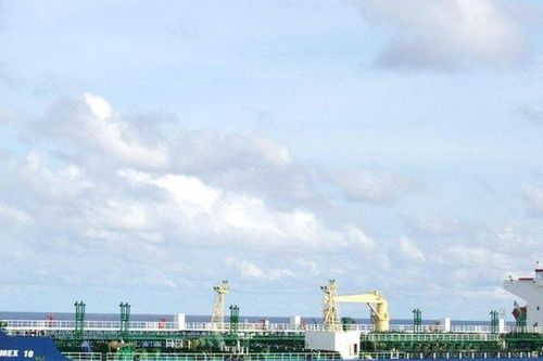 Lãnh đạo Vận tải xăng dầu đường thủy Petrolimex muốn thoái bớt vốn