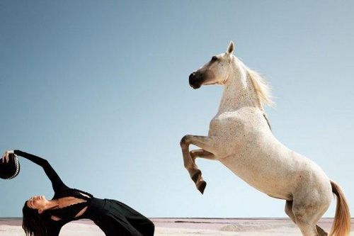Kendall Jenner thu hút trong bộ ảnh thời trang cảm hứng từ cưỡi ngựa