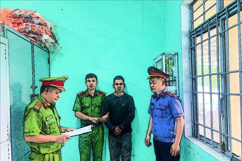 Cưa hạ 13 cây gỗ trong rừng phòng hộ