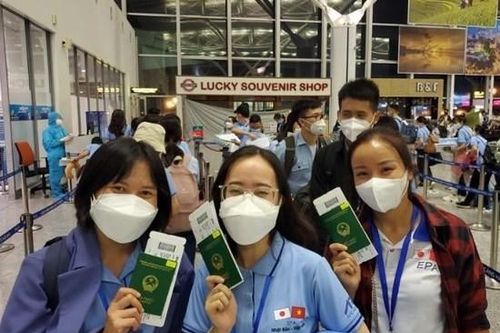 Hợp tác Việt Nam-Nhật Bản mở ra nhiều cơ hội việc làm cho lao động