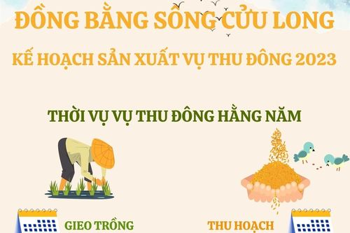 Kế hoạch sản xuất vụ Thu Đông 2023 của Đồng bằng sông Cửu Long