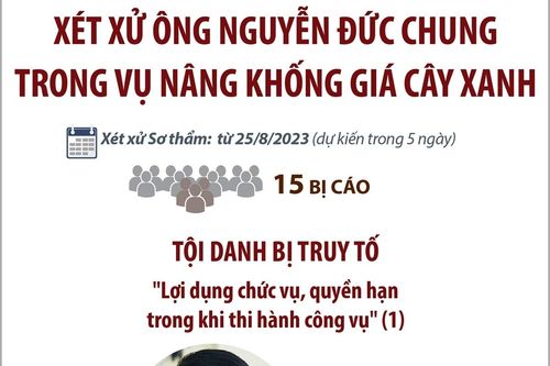 Xét xử sơ thẩm cựu Chủ tịch UBND TP Hà Nội Nguyễn Đức Chung trong vụ nâng khống giá cây xanh