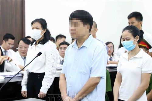 Bị cáo Nguyễn Đức Chung phủ nhận vai trò chỉ đạo vụ cây xanh